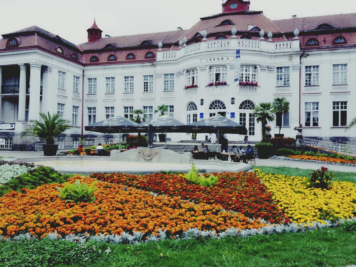 Apartment Alice Center Karlovy Vary Exteriér fotografie
